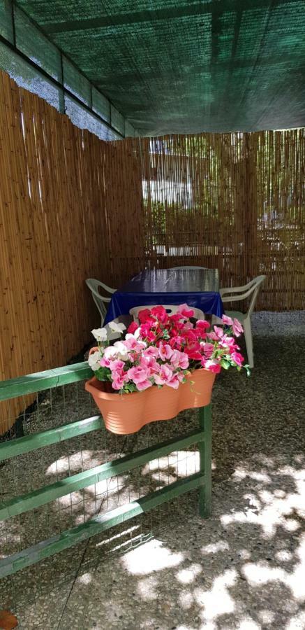 Camping Nuovo Massa  Luaran gambar
